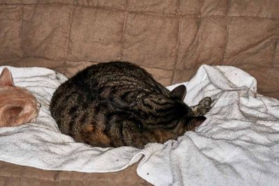 Ling                IMG_2400.jpg