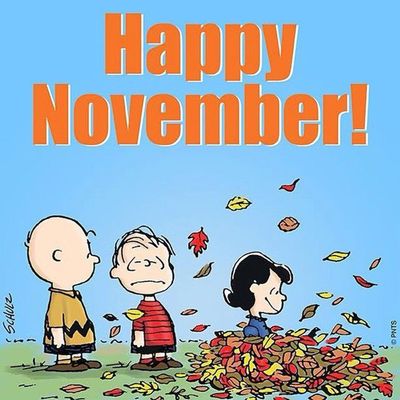 November 2024