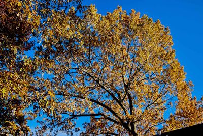 IMG_3413.jpg