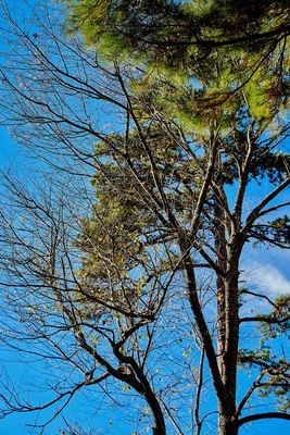 IMG_3416.jpg