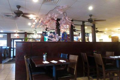 Sakura   IMG_3671.jpg