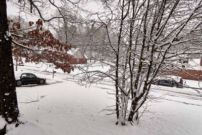 IMG_2548.jpg