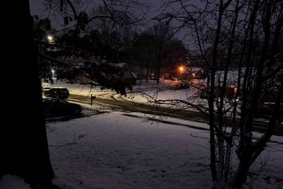 IMG_2556.jpg