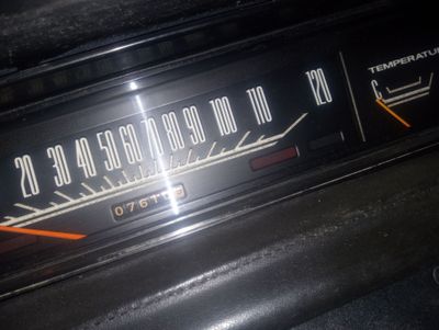 461952339_122197935500072790_1921394753439884998_n.jpg