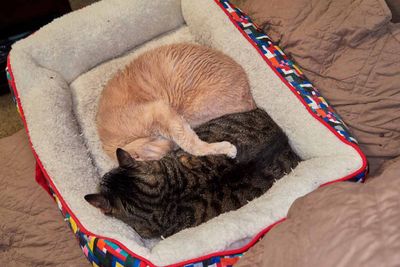 Ling and Sylvester      IMG_2575.jpg