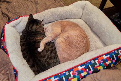 Ling and Sylvester          IMG_2576.jpg