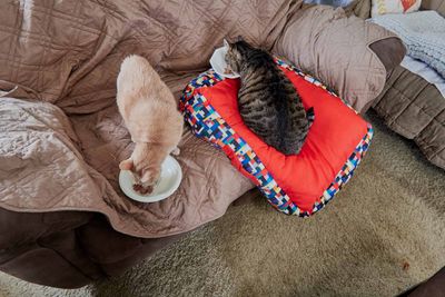 Sylvester and Ling         IMG_2597.jpg