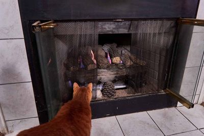 Morris at the fireplace.          IMG_2616.jpg