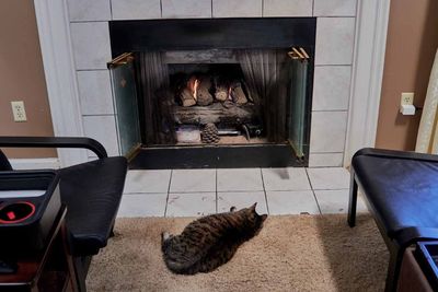 Ling enjoying the fire       IMG_2627.jpg