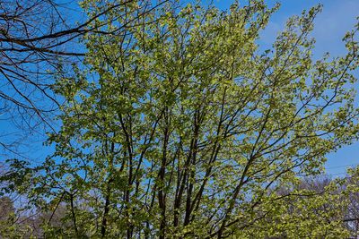 IMG_3570.jpg