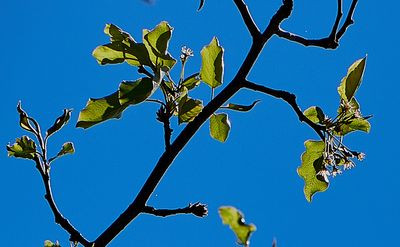 IMG_35731.jpg