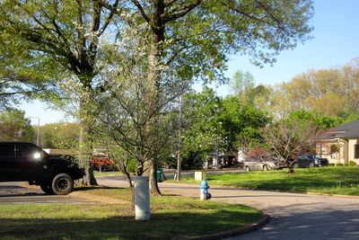 IMG_3933.jpg