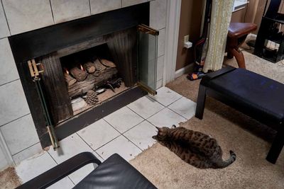 Ling enjoying the fireplace.         IMG_2692.jpg