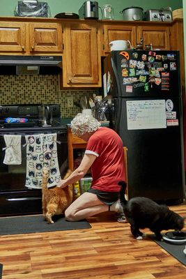 Morris KNOWS where the cat food is. He once went to sleep in the cabinet.             IMG_2965.jpg