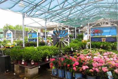 Lowes great greenhouse area!            IMG_4133.jpg