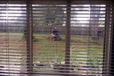IMG_3118.jpg