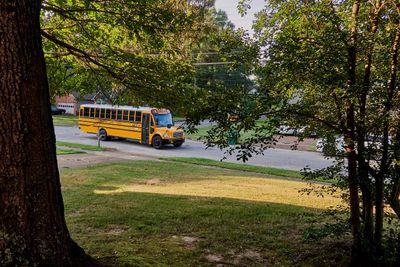 So glad school is only a distant, awful memory to me now.         IMG_3334.jpg