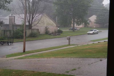 A nice rain for a while       IMG_3371.jpg