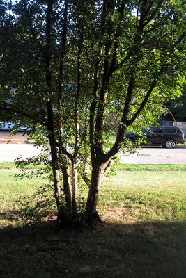 IMG_4590.jpg