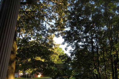 IMG_4597.jpg