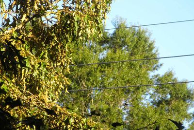 IMG_4599.jpg