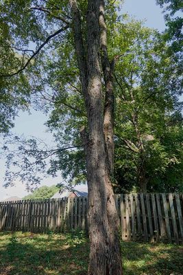 IMG_3496.jpg