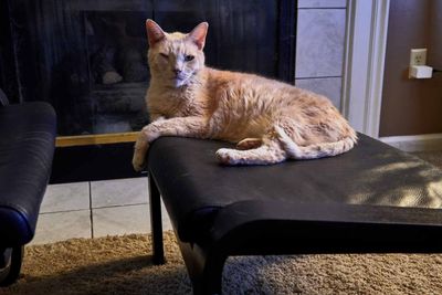 Sylvester about to come visit.        IMG_3602.jpg