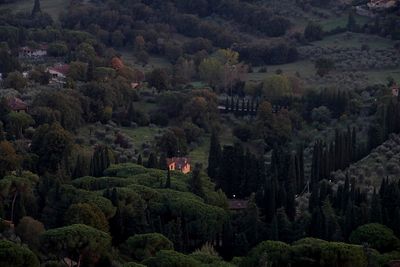 Tuscany from Feisole
