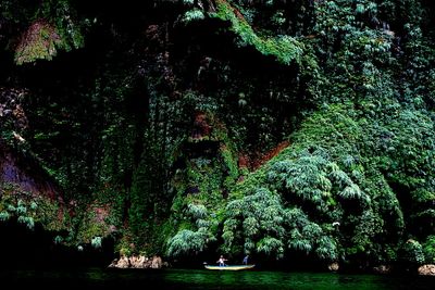 Landscapes