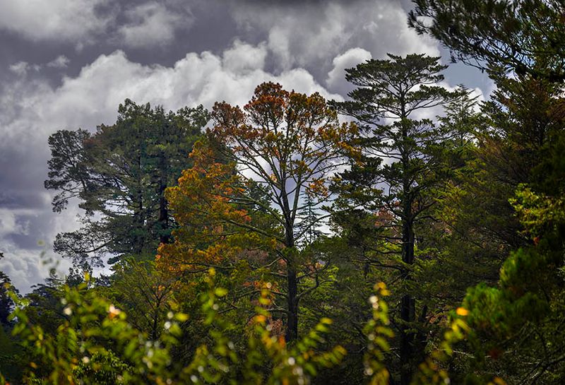 Dramatic skies from our back deck