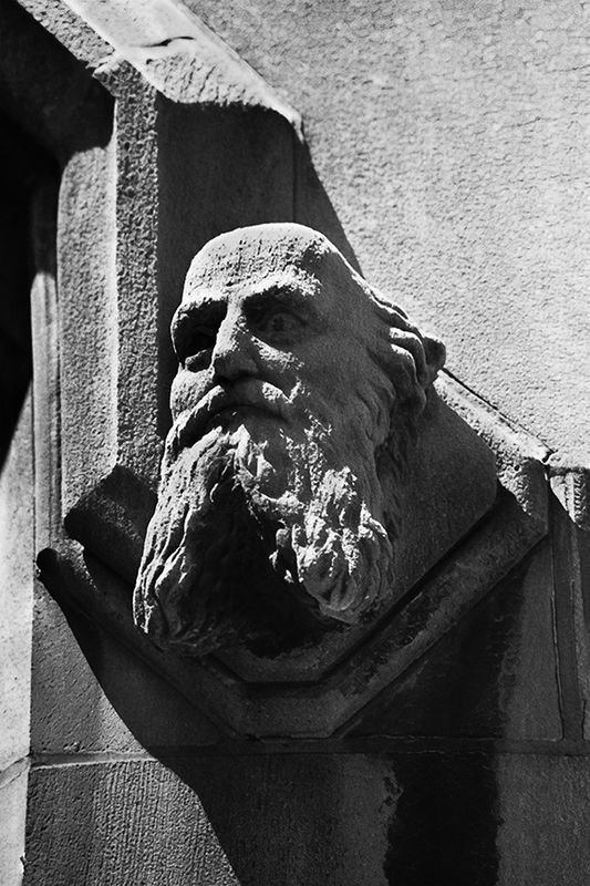 The Sage