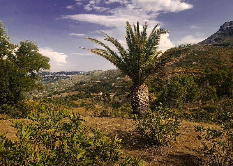 View from Museo Agro-forestale San Matteo