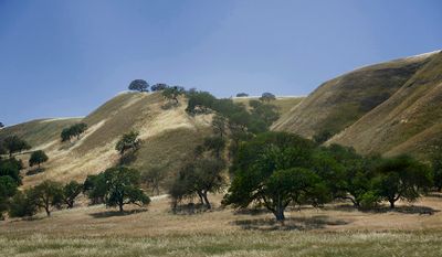 Paso Robles and California's Central Coast