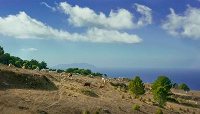 From Rome to Erice