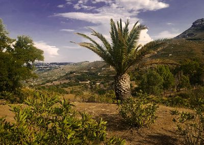 Sicilia