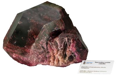3839
