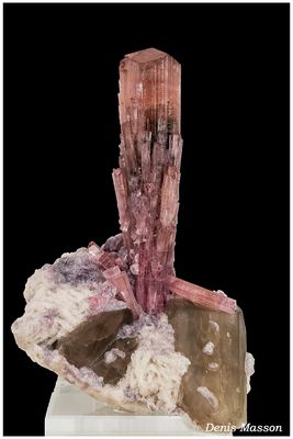 Mineral & Gem 2024