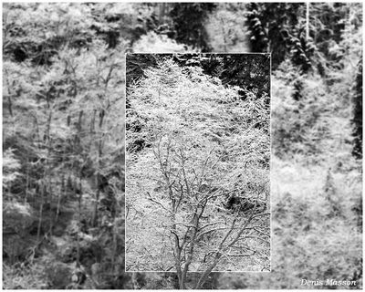 g13/70/928670/3/175157881.9ae0494f.JPEG