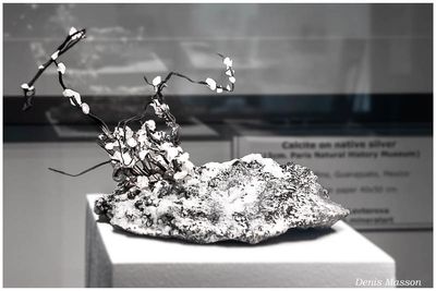 Mineral & Gem 2025, 60me Show
