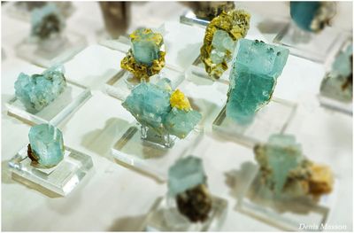 Mineral & Gem 2025, 60me Show