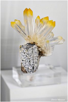 Mineral & Gem 2025, 60me Show