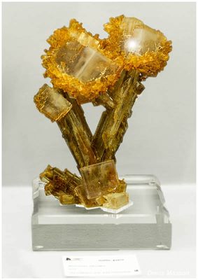 Mineral & Gem 2025, 60me Show