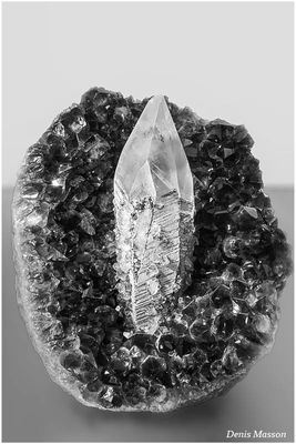 Mineral & Gem 2025, 60ème Show