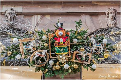 Nol   Strasbourg en 2025