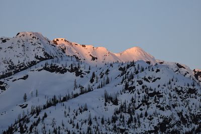 IMG_6905.jpg