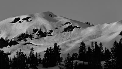 IMG_2333-mono.jpg