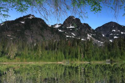 IMG_5460.jpg