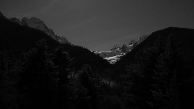 IMG_6514.jpg