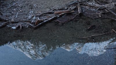 IMG_6590.jpg