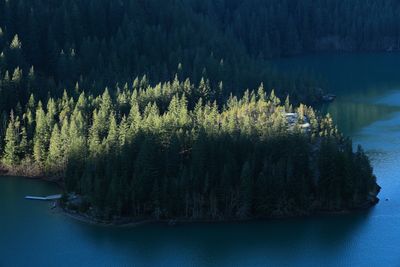 IMG_6768.jpg
